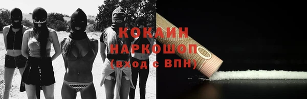шишки Костерёво