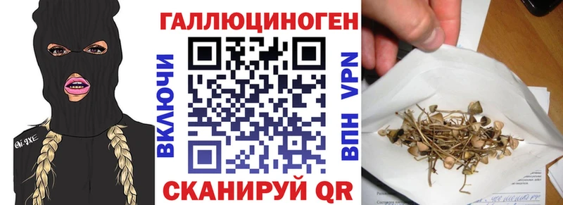 Галлюциногенные грибы мухоморы  Спас-Клепики 